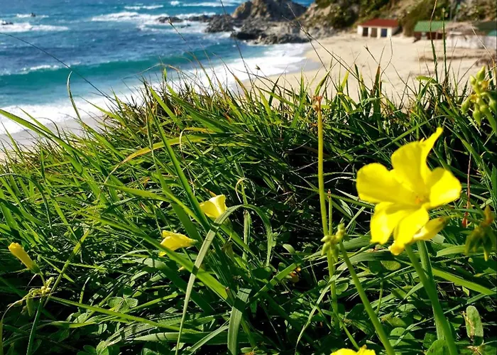 Appartamento L'agave Ricadi