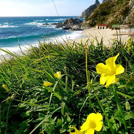 Apartamento L'agave Ricadi