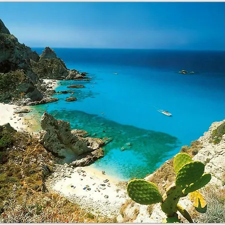 L'agave * Ricadi