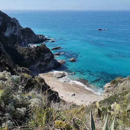 L'agave Ricadi