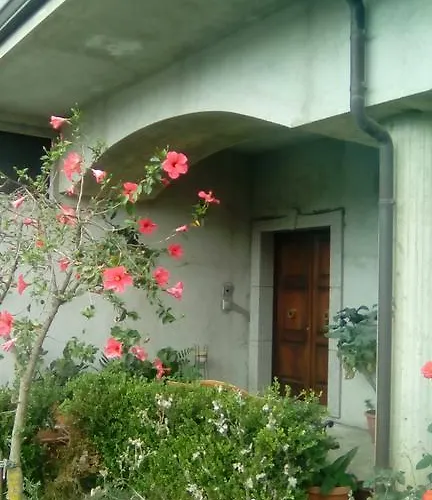 Apartment L'agave Ricadi